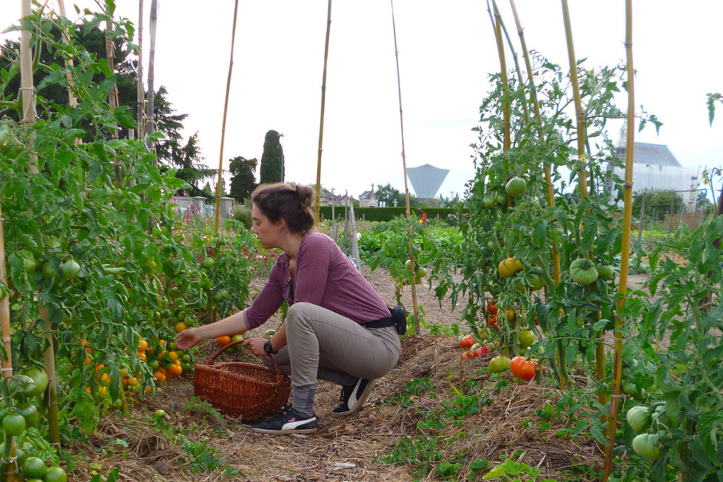 Aline Larvet a décidé de créer pour d'autres des jardins nourriciers en ville