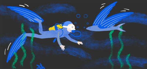 Les palmes de plongée s'inspirent des membranes du poisson volant, Illustration Laureline Lecossois