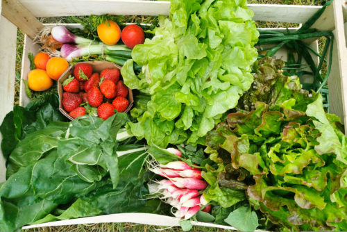 Bien conserver ses fruits et légumes permet d'éviter le gaspillage. Crédit Allili images/SIPA