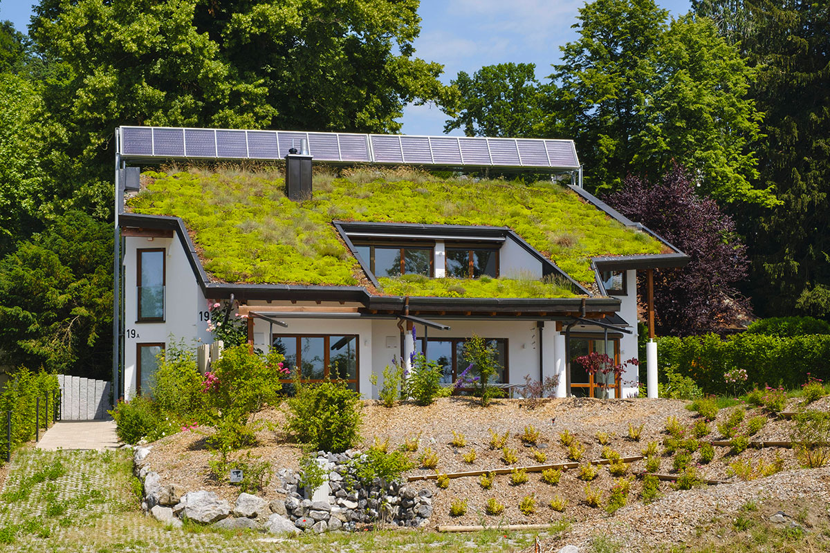 Maison en Allemagne avec toit végétalisé et panneaux solaires, Crédit imageBROKER.com/SIPA