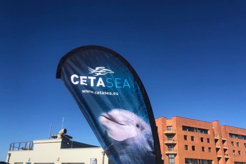 Cetasea est une association française ayant pour projet de créer un réseau européen de refuges pour mammifères marins