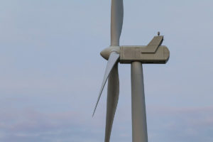 Tout savoir sur le secteur de la filière éolienne française