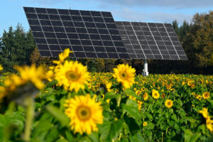 Les objectifs de la France en termes d’énergies renouvelables