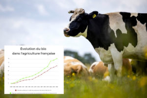 Infographie de l’évolution de l’agriculture bio en France : un coup de frein, des perspectives de relance
