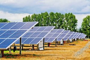 Tout ce qu’il faut savoir sur les panneaux photovoltaïques en France