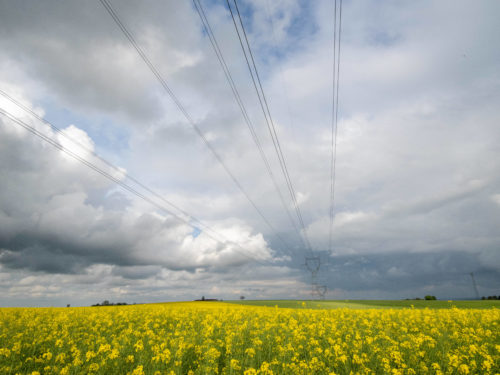 Paysage français