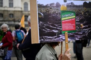 Glyphosate : la Commission européenne renouvelle son autorisation dans l'UE pour 10 ans
