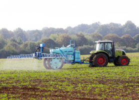 La France envisage de réduire de moitié l’usage des pesticides