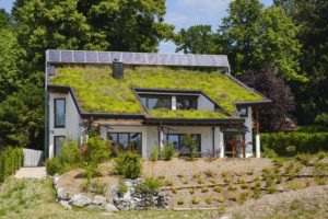Énergies renouvelables, rénovation énergétique : quid des aides financières disponibles pour passer au vert !