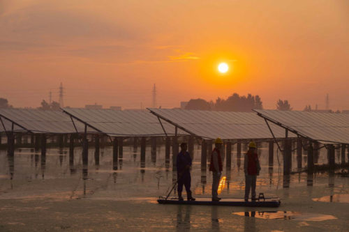 Installations solaires en Chine, Crédit STRINGER / AFP