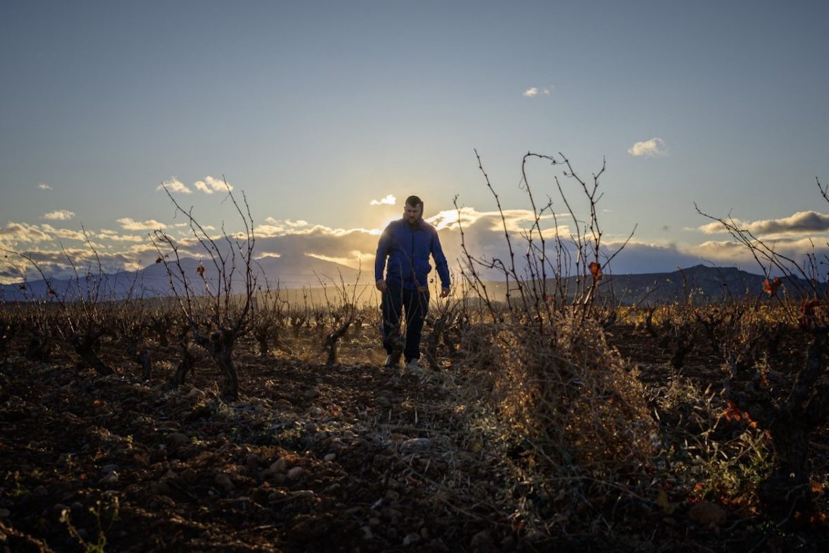 L'agriculteur Marc Chabanol traverse ses champs près de Perpignan, dans les Pyrénées-Orientales, le 13 décembre 2023