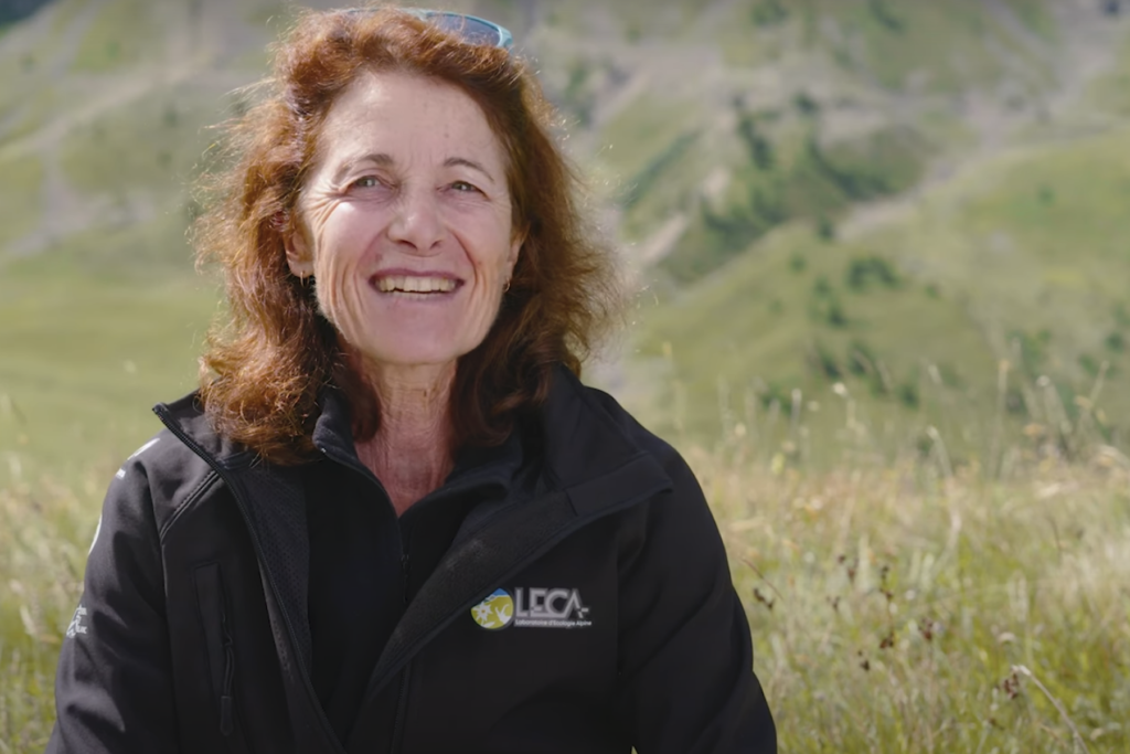 Capture d’écran de la vidéo du CNRS sur l’écologue Sandra Lavorel, aventurière du vivant, Médaille d'or 2023