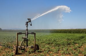 Enfin un arrêté pour encadrer l’irrigation des cultures agricoles avec des eaux usées traitées !
