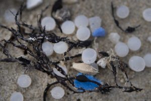 Pollution aux granulés plastiques : le littoral atlantique français guette les « larmes de sirène »