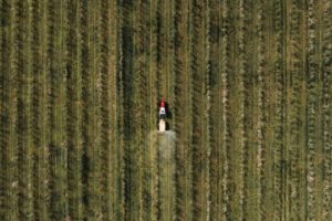 Pesticides : les distances de sécurité autour des parcelles traitées ne suffisent pas à protéger les populations