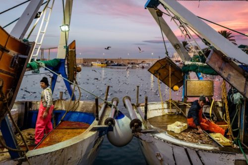 Des pêcheurs trient les prises de la pêche au chalut