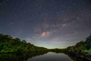 La forêt amazonienne pourrait franchir « un point de rupture » d'ici 2050, selon une étude