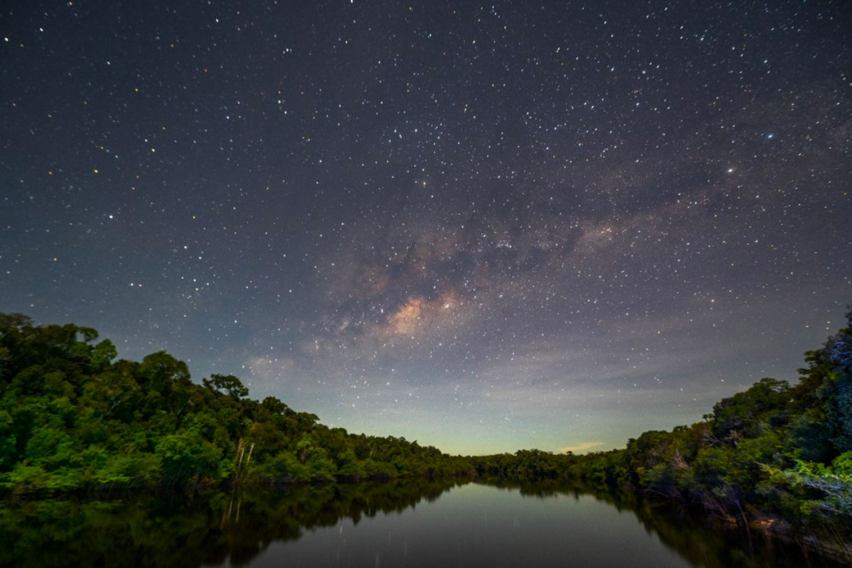 Vue de la forêt amazonienne, Crédit MAURO PIMENTEL / AFP