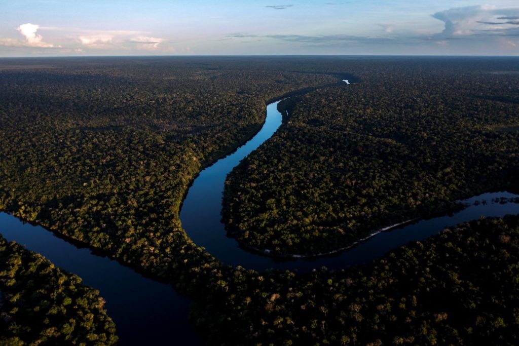 La forêt amazonienne au Brésil