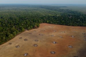 Brésil : la déforestation en Amazonie continue, mais à moindre échelle 