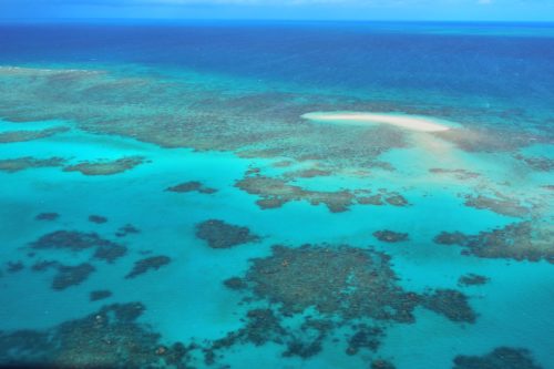 Le récif corallien d'Oystaer dans la Grande Barrière de Corail en Australie