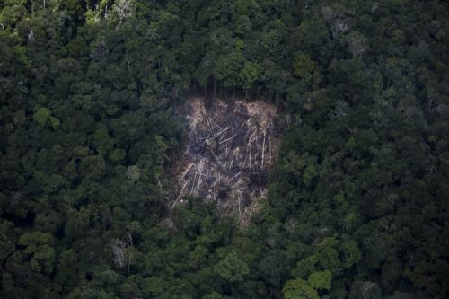 Déforestation de la forêt amazonienne au Brésil