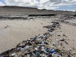 Traité contre la pollution plastique : les négociations reprennent à Ottawa