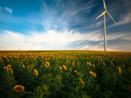 Loi Barnier sur l’environnement : qu’est-ce que c’est ?